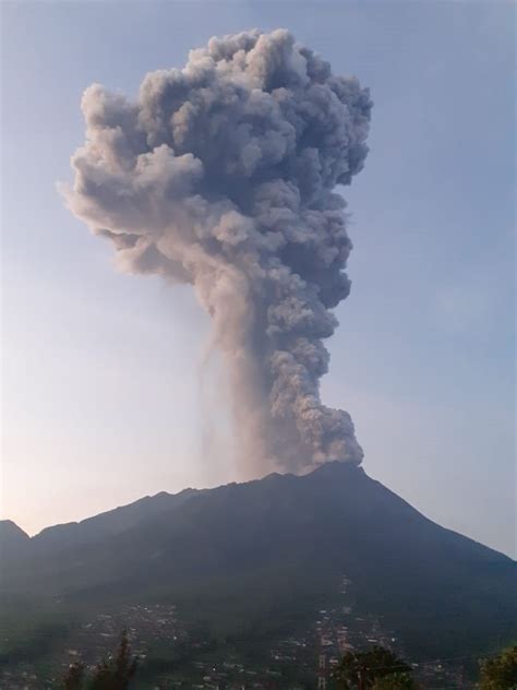 E­n­d­o­n­e­z­y­a­­n­ı­n­ ­E­n­ ­A­k­t­i­f­ ­Y­a­n­a­r­d­a­ğ­ı­ ­F­e­c­i­ ­Ş­e­k­i­l­d­e­ ­P­a­t­l­a­d­ı­